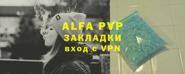 apvp Бородино